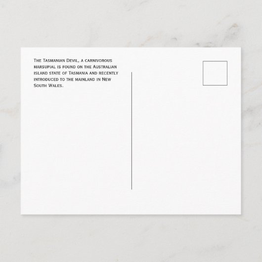 Tasmania Devil In Grass, Tasmania,オーストラリア ポストカード (裏面)