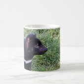 Tasmanian Devil, Tasmania,オーストラリア コーヒーマグカップ (中央)