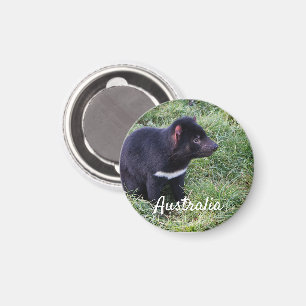 Tasmanian Devil, Tasmania,オーストラリア マグネット
