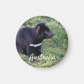Tasmanian Devil, Tasmania，オーストラリア マグネット (正面)