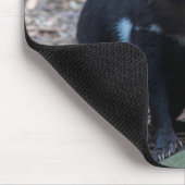 Tasmanian Devil Tasmania Australiaクローズアップ写真 マウスパッド (コーナー)