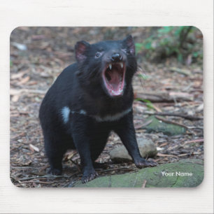 Tasmanian Devil Tasmania Australiaクローズアップ写真 マウスパッド