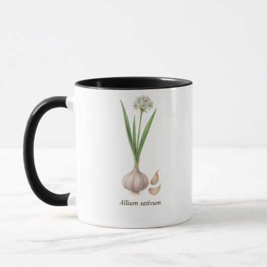 Tasse botanique Allium sativum マグカップ (左)