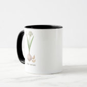 Tasse botanique Allium sativum マグカップ (正面左)