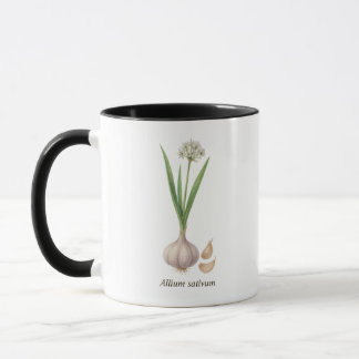 Tasse botanique Allium sativum マグカップ