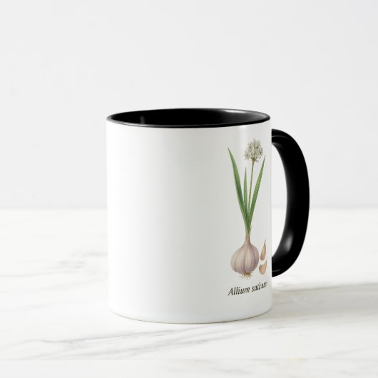 Tasse botanique Allium sativum  マグカップ (正面右)