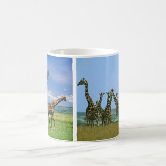 Tasse Giraffen Herde コーヒーマグカップ