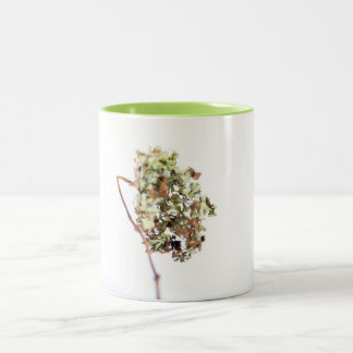 tasse Hortensia ツートーンマグカップ