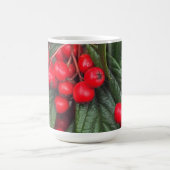 Tasse mit herbstlichen, roten Vogelbeeren コーヒーマグカップ (中央)