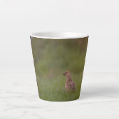 Tasse mit süßer Fasanenmutter und Kinder カフェラテマグ (正面)