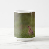 Tasse mit süßer Fasanenmutter und Kinder コーヒーマグカップ (中央)