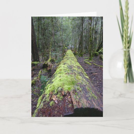 Tassieの木 カード (正面)