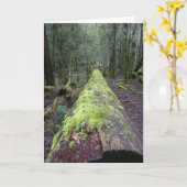 Tassieの木 カード (黄色い花)