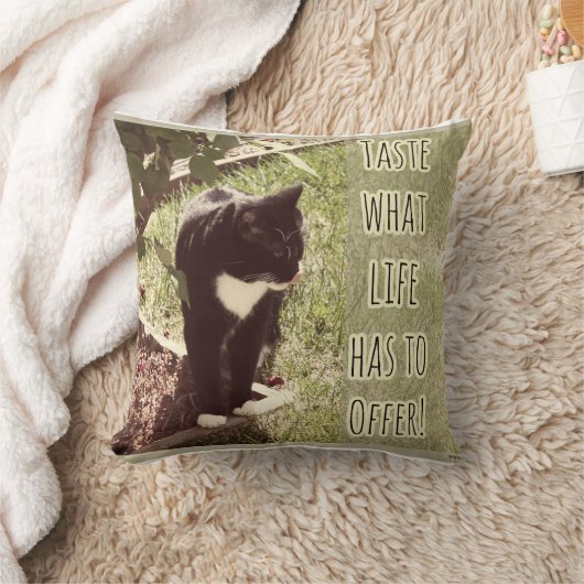 Taste of Life意欲を起こ's Catスローガンデザイン クッション (ブランケット)