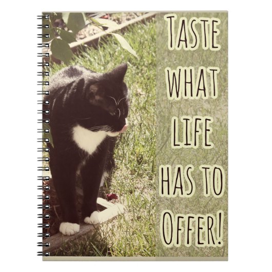 Taste of Life やる気を起こさせる Catフォト引用文 ノートブック (正面)