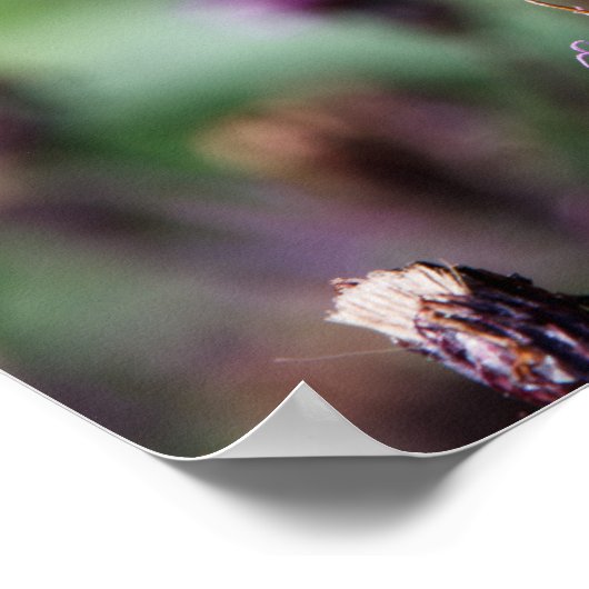 Tattered ポスター (角)