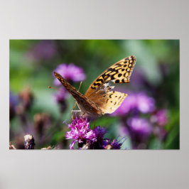 Tattered ポスター