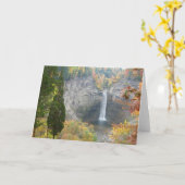 Taughannockの滝 カード (黄色い花)
