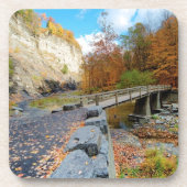 Taughannockは公園州立下ります コースター (正面)