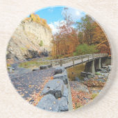 Taughannockは公園州立下ります コースター (正面)