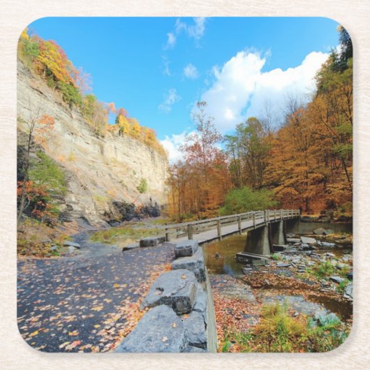 Taughannockは公園州立下ります スクエアペーパーコースター (正面)