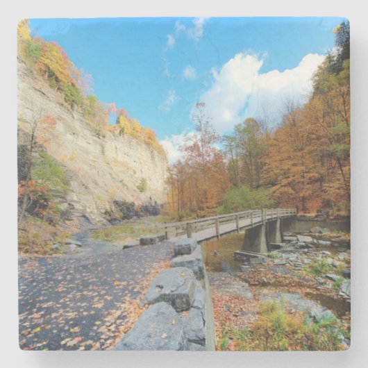 Taughannockは公園州立下ります ストーンコースター (正面)
