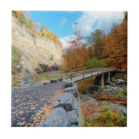 Taughannockは公園州立下ります タイル (正面)