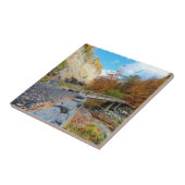 Taughannockは公園州立下ります タイル (側面)