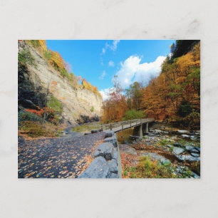 Taughannockは公園州立下ります ポストカード