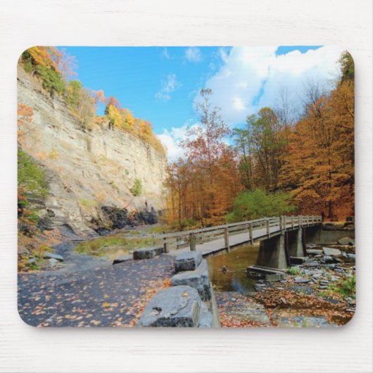 Taughannockは公園州立下ります マウスパッド (正面)
