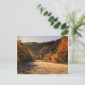 Taughannockは郵便はがき下ります ポストカード (スタンド正面)