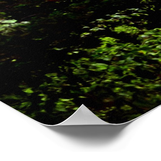 TAUGHANOCK秋ポスター ポスター (角)