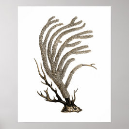 Taupe Sea Coral no.2 Beach Wall Art ポスター