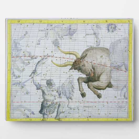 Taurus星座、プレート2の'Atlas Coeleから フォトプラーク (正面)