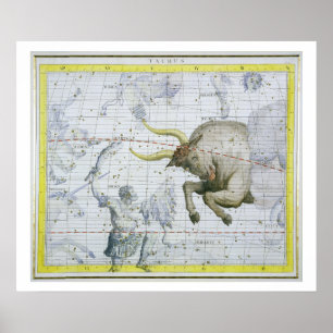 Taurus星座、プレート2の'Atlas Coeleから ポスター