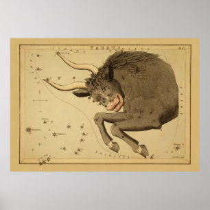 Taurus -ヴィンテージ画像の〔占星術の〕十二宮図記号 ポスター