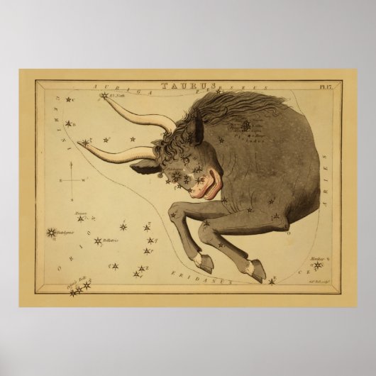 Taurus -ヴィンテージ画像の〔占星術の〕十二宮図記号 ポスター (正面)