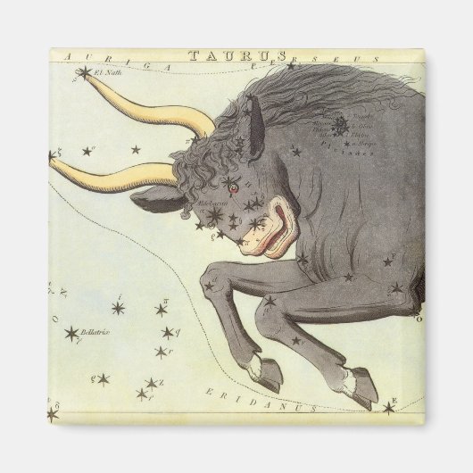 Taurus Bull、ヴィンテージコンステレーションウラニア鏡 マグネット (正面)