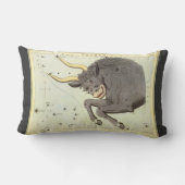 Taurus Bull、ヴィンテージコンステレーションウラニア鏡 ランバークッション (裏面)