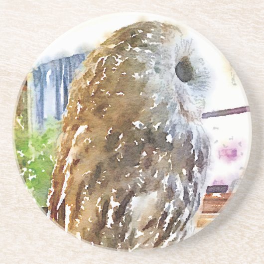 Tawny owl painted with watercolors コースター (正面)