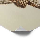 Tawny Owl Perched on Branch ポスター (角)