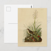 Tawny Thrush (Veery) - Audubon's Birds of America ポストカード (正面/裏面)