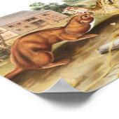 Tawny Weasel (Putorius fuscus) Illustration ポスター (角)