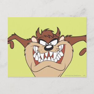 TAZ™アームワイド ポストカード