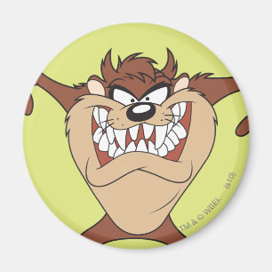 TAZ™アームワイド マグネット