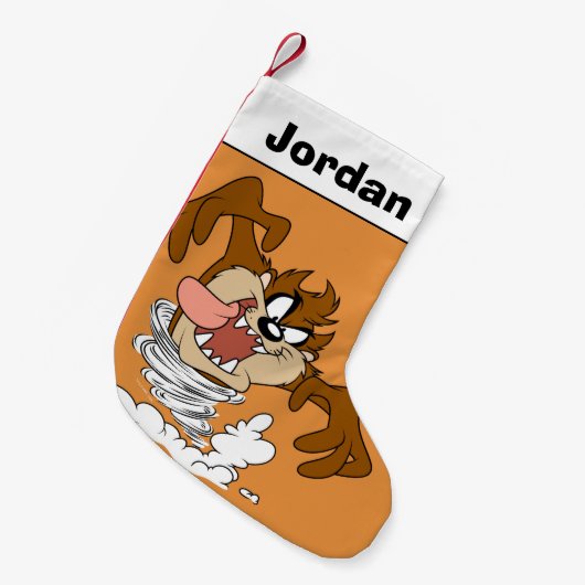 TAZ™ジャグジー スモールクリスマスストッキング (正面 (吊り時))