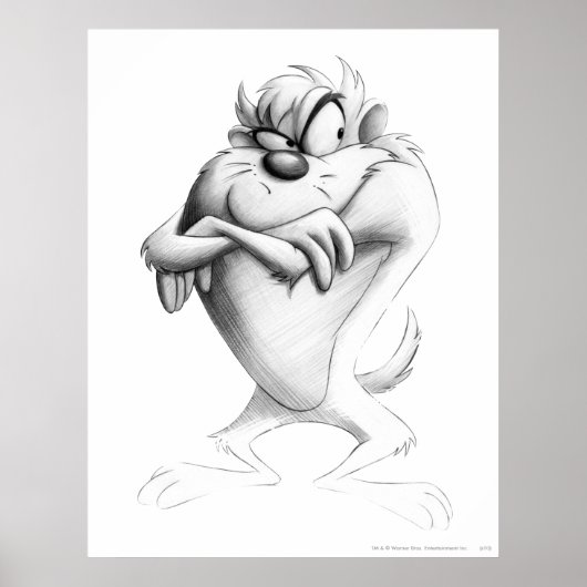 TAZ™スケッチ ポスター (正面)