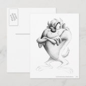 TAZ™スケッチ ポストカード (正面/裏面)