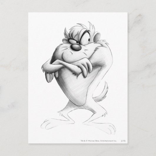 TAZ™スケッチ ポストカード (正面)