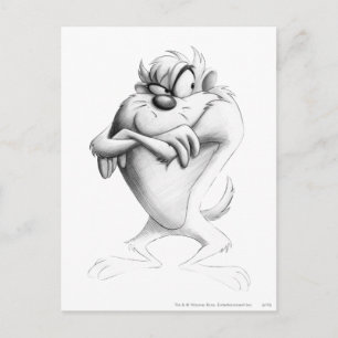 TAZ™スケッチ ポストカード